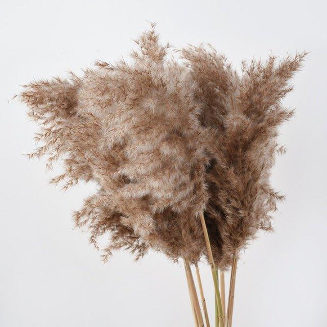 Natural 60 cm Brown-Beige Dried Pampas Grass Bouquet for Boho Decor-Orizon Depot