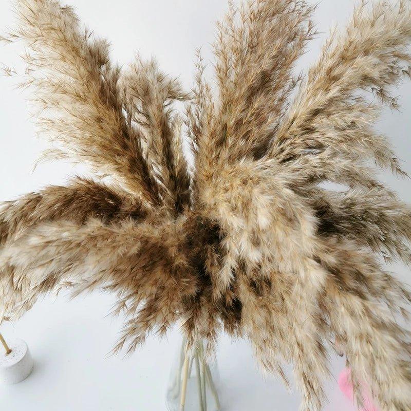 Natural 60 cm Brown-Beige Dried Pampas Grass Bouquet for Boho Decor-Orizon Depot