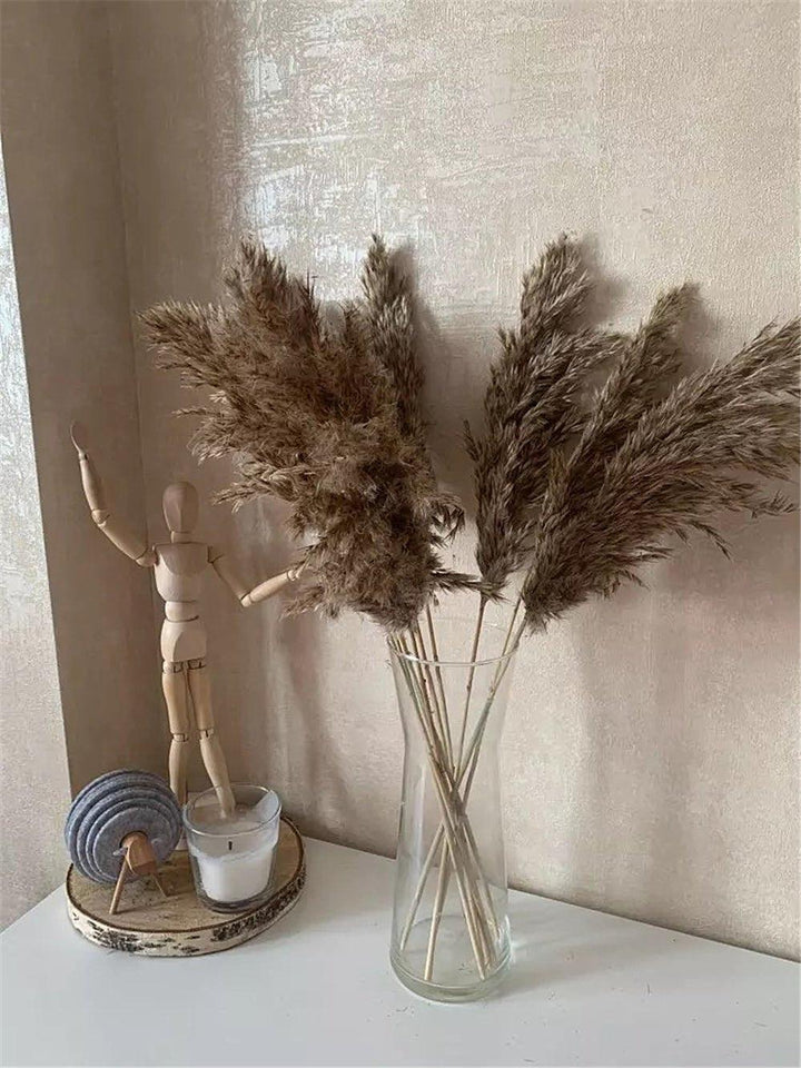 Natural 60 cm Brown-Beige Dried Pampas Grass Bouquet for Boho Decor-Orizon Depot