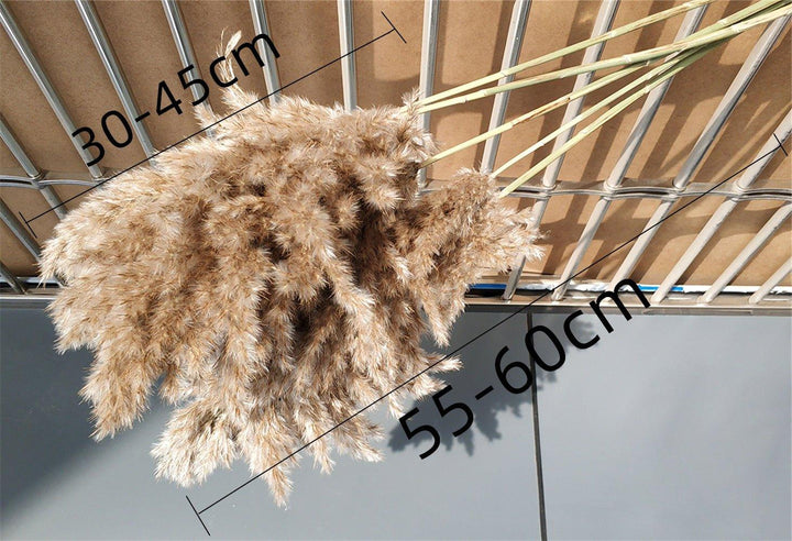 Natural 60 cm Brown-Beige Dried Pampas Grass Bouquet for Boho Decor-Orizon Depot