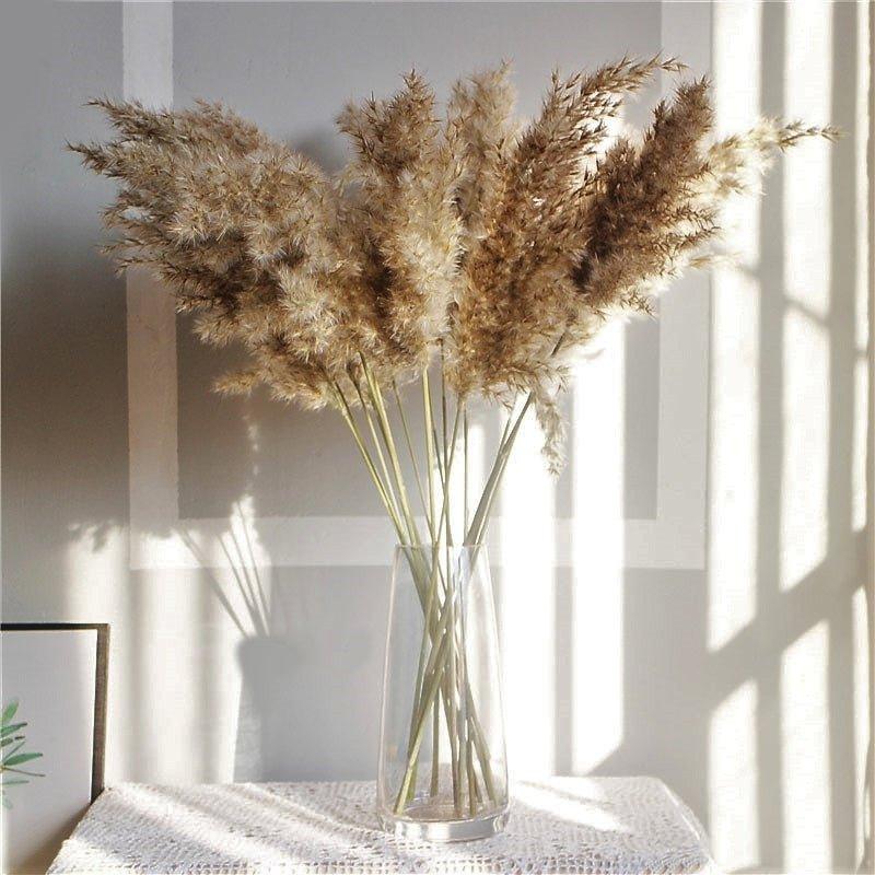 Natural 60 cm Brown-Beige Dried Pampas Grass Bouquet for Boho Decor-Orizon Depot