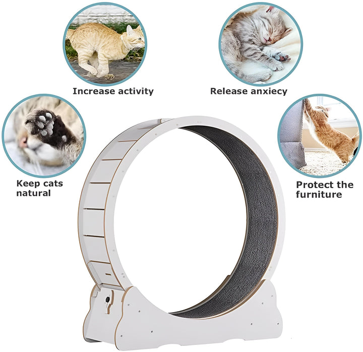 Cat Fitness Wheel for Indoor Play and Exercise