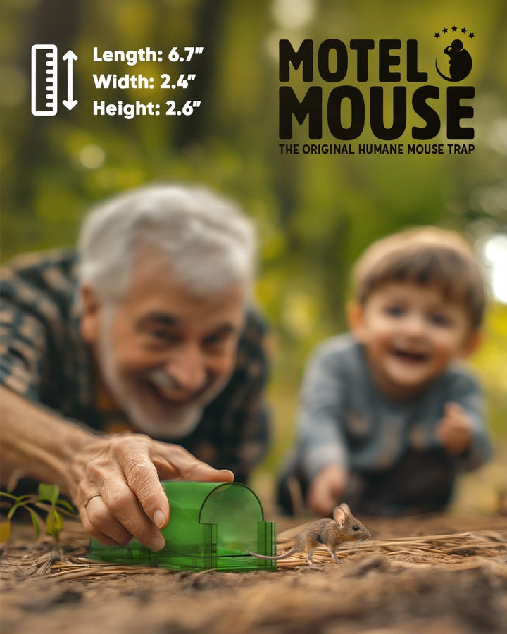 4-Pack Rodent Traps for Effective Pest Control