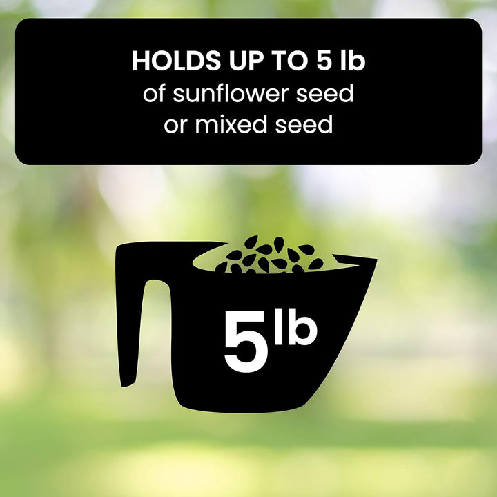 Squirrel-Resistant Bird Feeder for Backyard Wildlife