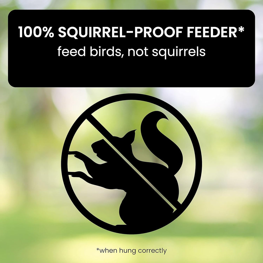 Squirrel-Resistant Bird Feeder for Backyard Wildlife