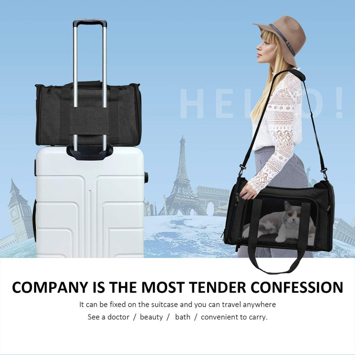 Pet Carrier Bag for Small to Medium Dogs and Cats Up to 15 lbs