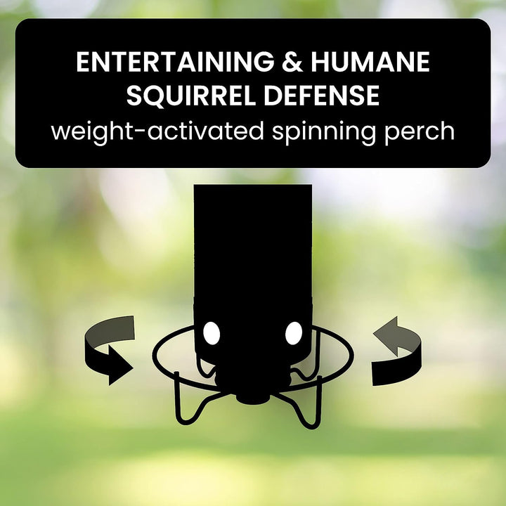 Squirrel-Resistant Bird Feeder for Backyard Wildlife