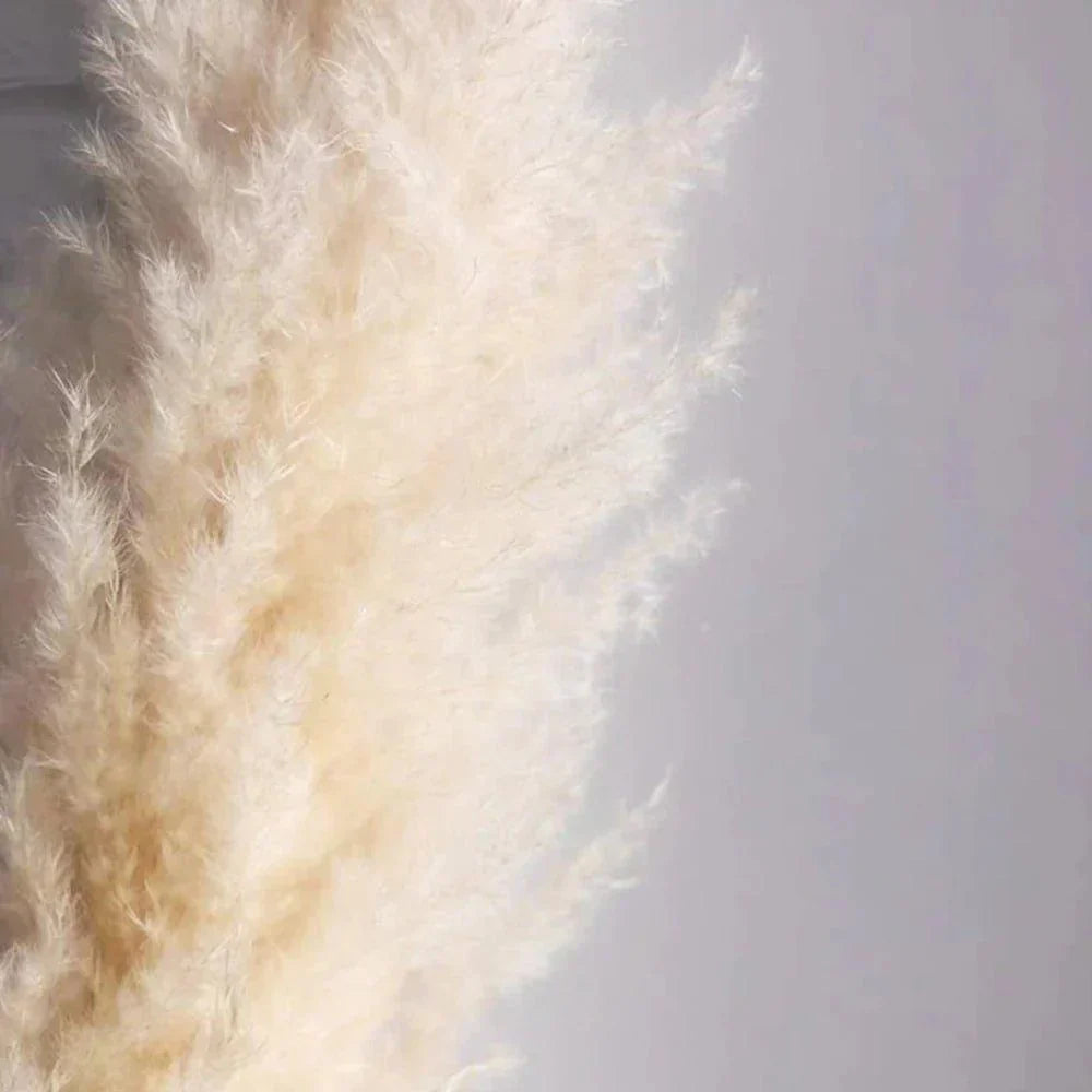 Natural Dried Pampas Grass Bouquet - 80 cm Fluffy Feathers for Boho Decor-Orizon Depot