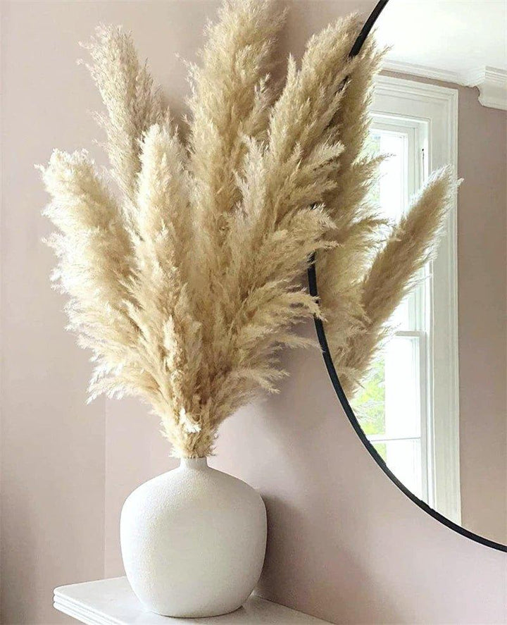Natural Dried Pampas Grass Bouquet - 80 cm Fluffy Feathers for Boho Decor-Orizon Depot
