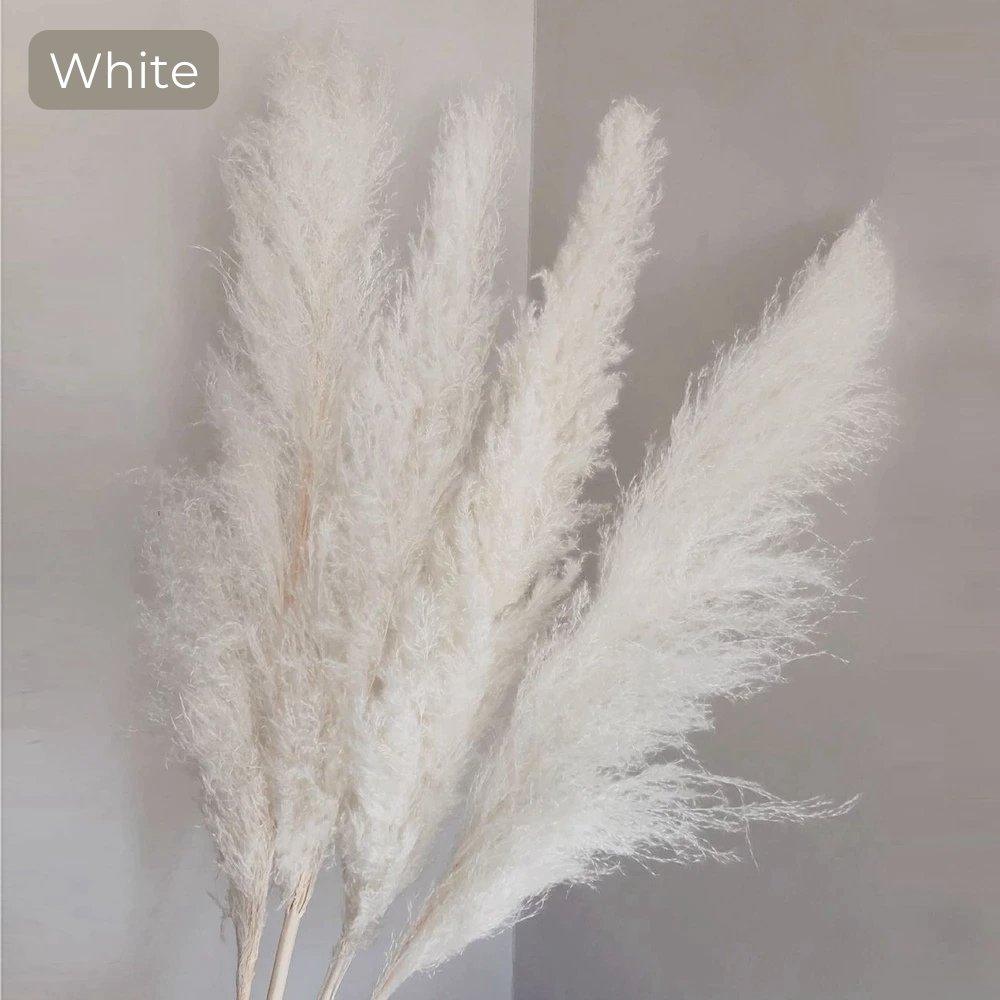 Natural Dried Pampas Grass Bouquet - 80 cm Fluffy Feathers for Boho Decor-Orizon Depot