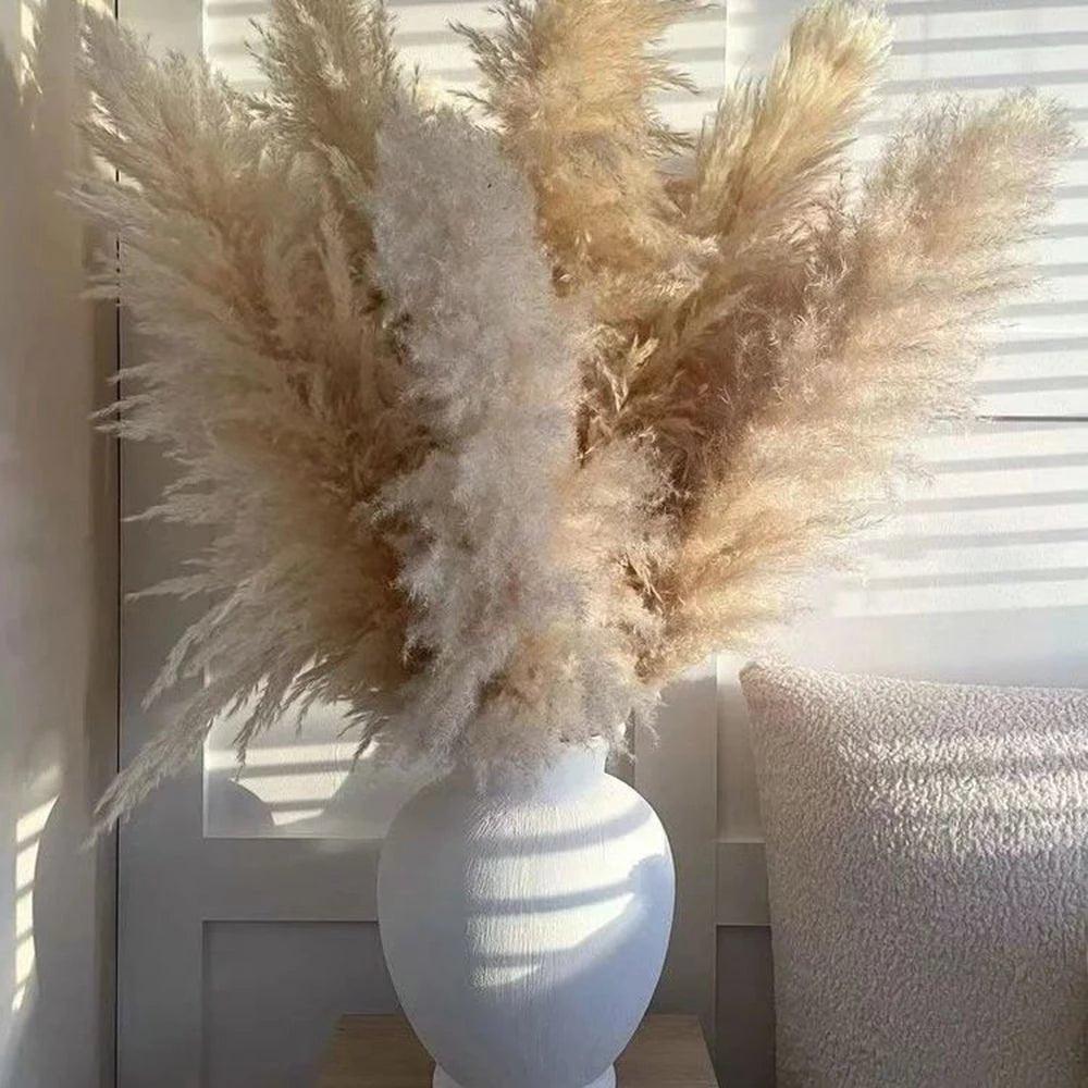Natural Dried Pampas Grass Bouquet - 80 cm Fluffy Feathers for Boho Decor-Orizon Depot