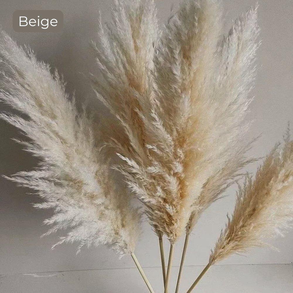 Natural Dried Pampas Grass Bouquet - 80 cm Fluffy Feathers for Boho Decor-Orizon Depot