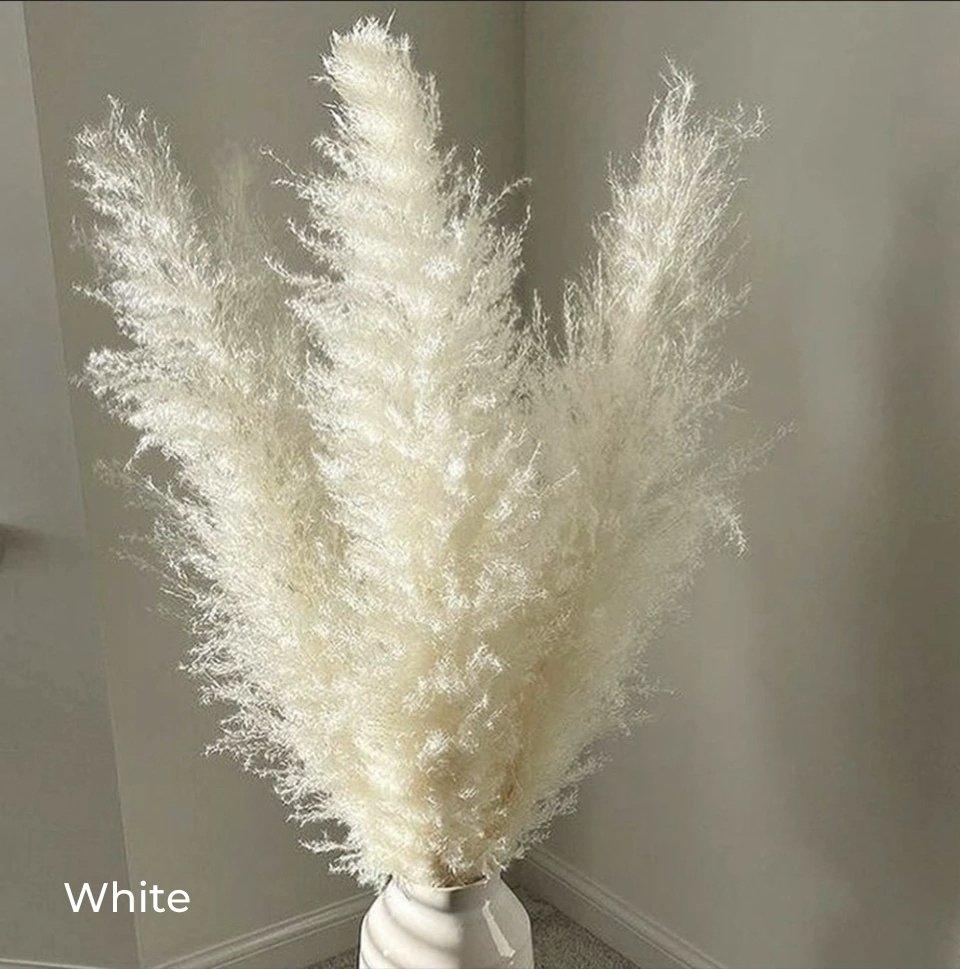 Natural Dried Pampas Grass Bouquet - 80 cm Fluffy Feathers for Boho Decor-Orizon Depot