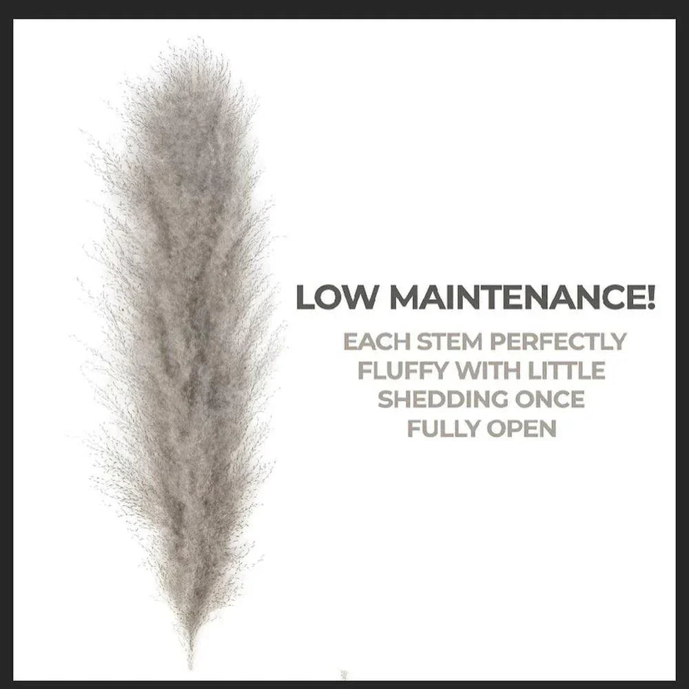 Natural Dried Pampas Grass Bouquet - 80 cm Fluffy Feathers for Boho Decor-Orizon Depot