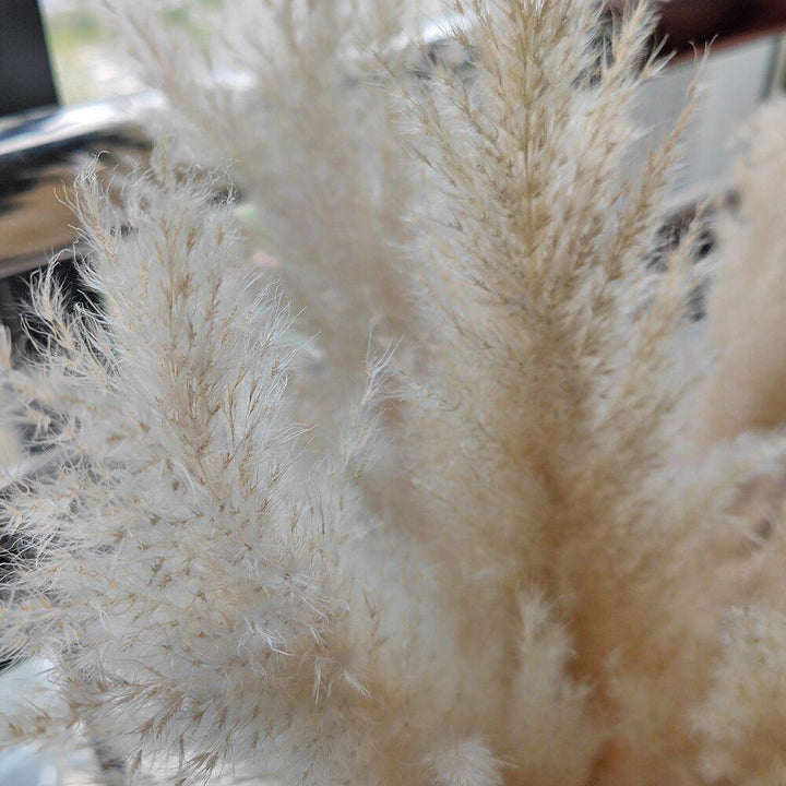 Natural Dried Pampas Grass Bouquet - 80 cm Fluffy Feathers for Boho Decor-Orizon Depot
