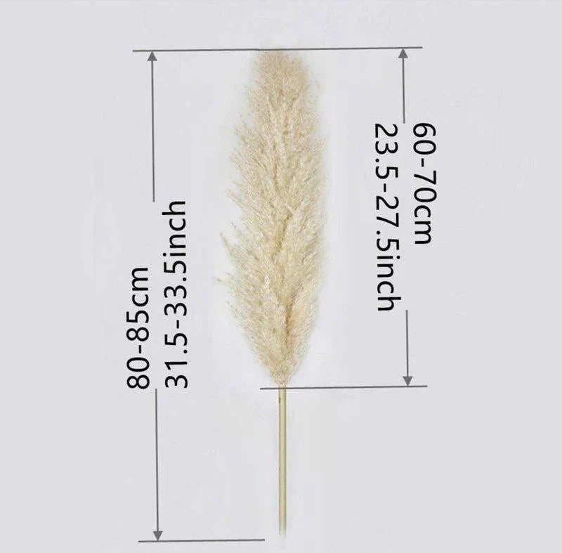 Natural Dried Pampas Grass Bouquet - 80 cm Fluffy Feathers for Boho Decor-Orizon Depot