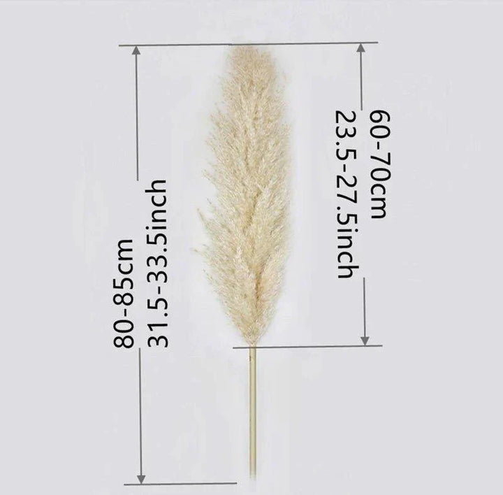 Natural Dried Pampas Grass Bouquet - 80 cm Fluffy Feathers for Boho Decor-Orizon Depot