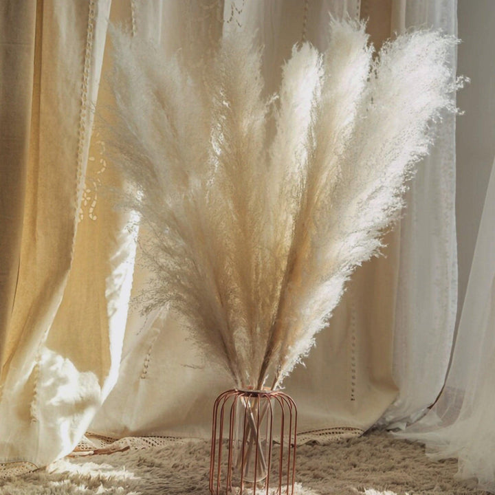 Natural Dried Pampas Grass Bouquet - 80 cm Fluffy Feathers for Boho Decor-Orizon Depot