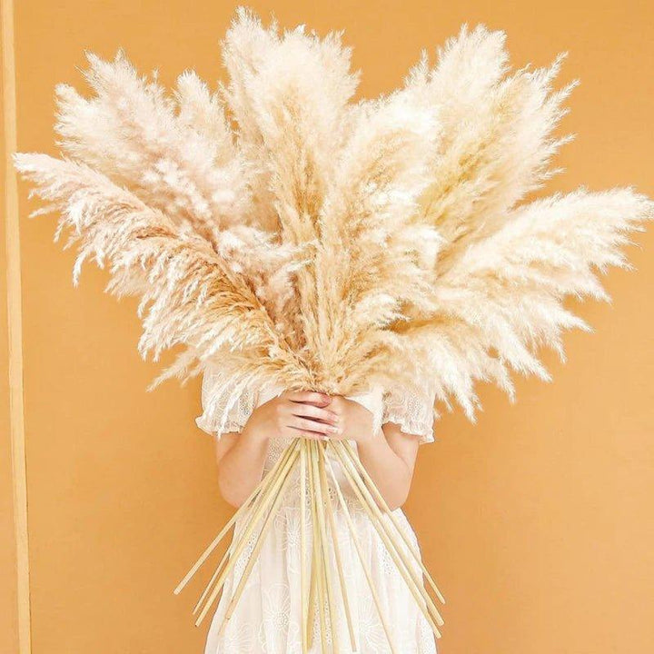 Natural Dried Pampas Grass Bouquet - 80 cm Fluffy Feathers for Boho Decor-Orizon Depot