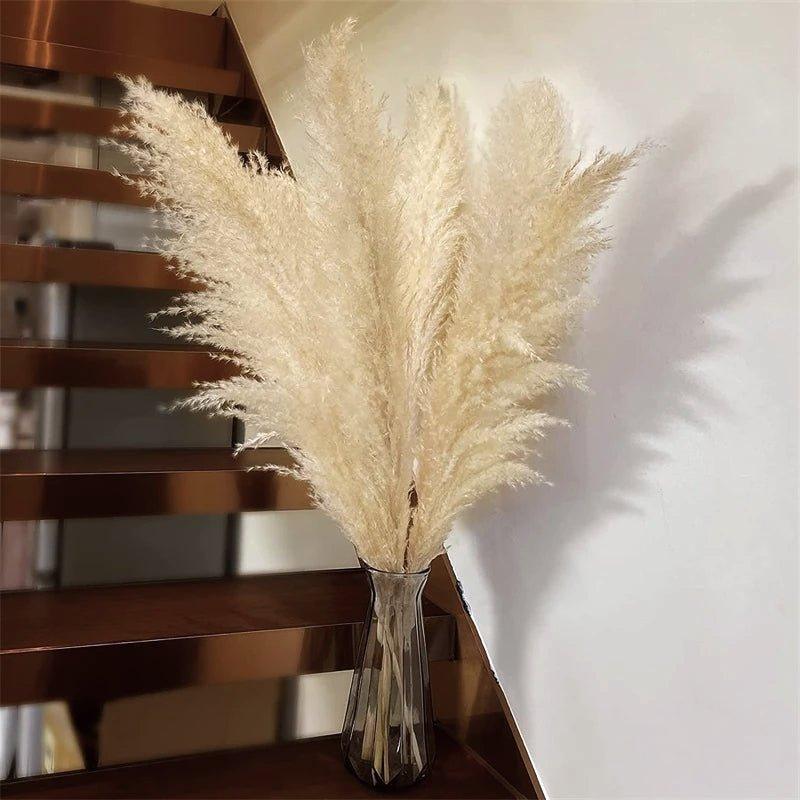 Natural Dried Pampas Grass Bouquet - 80 cm Fluffy Feathers for Boho Decor-Orizon Depot