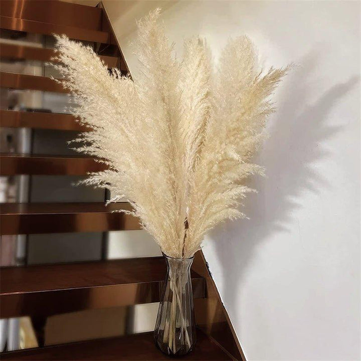 Natural Dried Pampas Grass Bouquet - 80 cm Fluffy Feathers for Boho Decor-Orizon Depot