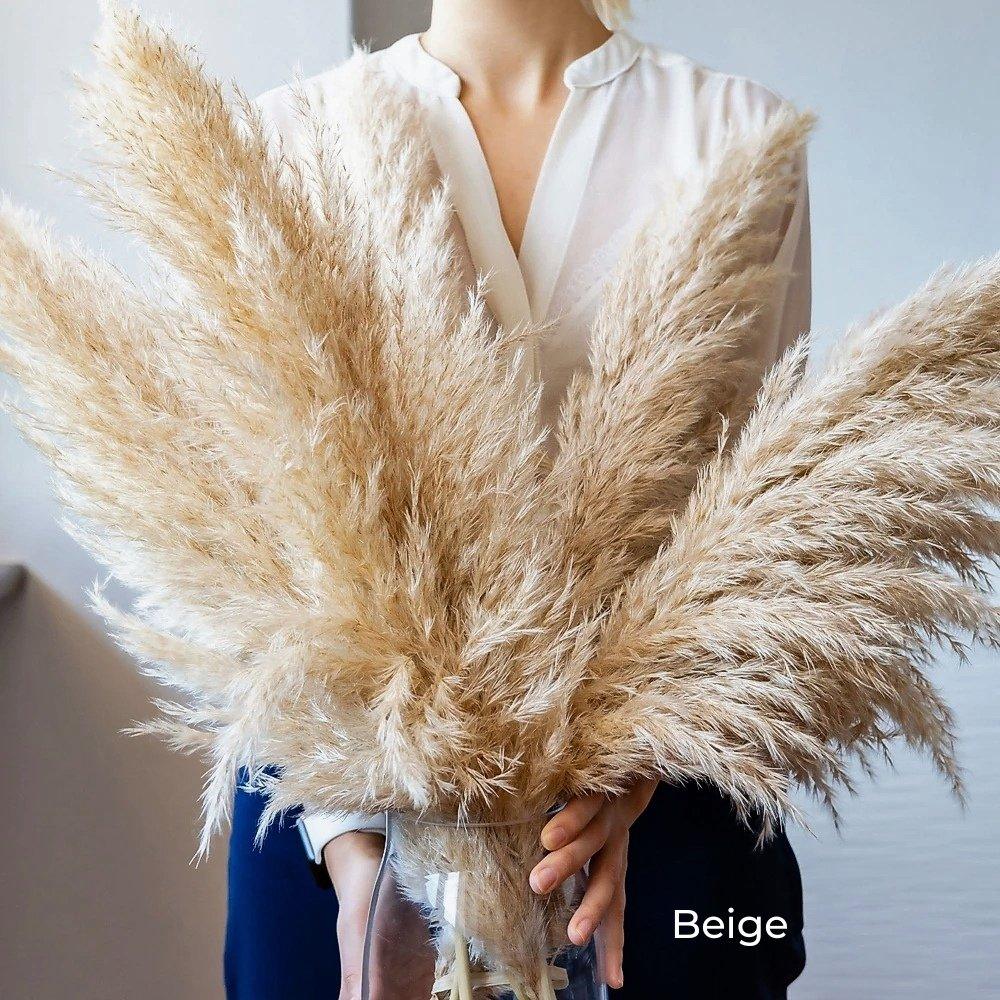Natural Dried Pampas Grass Bouquet - 80 cm Fluffy Feathers for Boho Decor-Orizon Depot