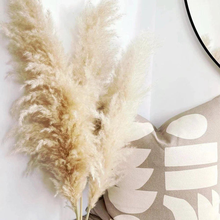Natural Dried Pampas Grass Bouquet - 80 cm Fluffy Feathers for Boho Decor-Orizon Depot