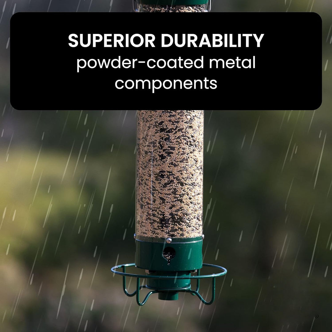 Squirrel-Resistant Bird Feeder for Backyard Wildlife