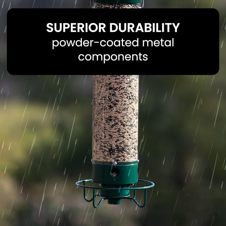 Squirrel-Resistant Bird Feeder for Backyard Wildlife