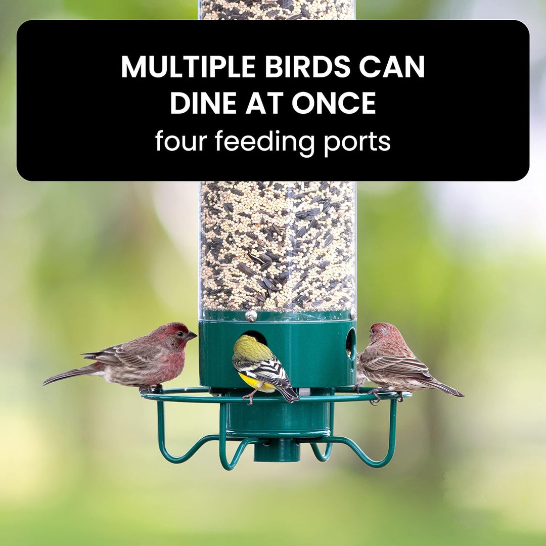 Squirrel-Resistant Bird Feeder for Backyard Wildlife