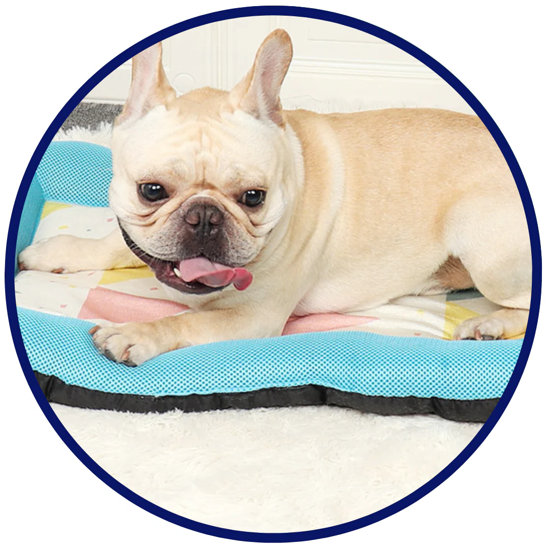 Pet Silk Cooling Mat for Dogs and Cats - Comfortable & Breathable-Orizon Depot