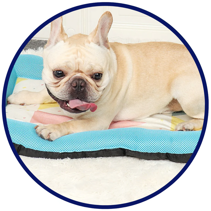 Pet Silk Cooling Mat for Dogs and Cats - Comfortable & Breathable-Orizon Depot