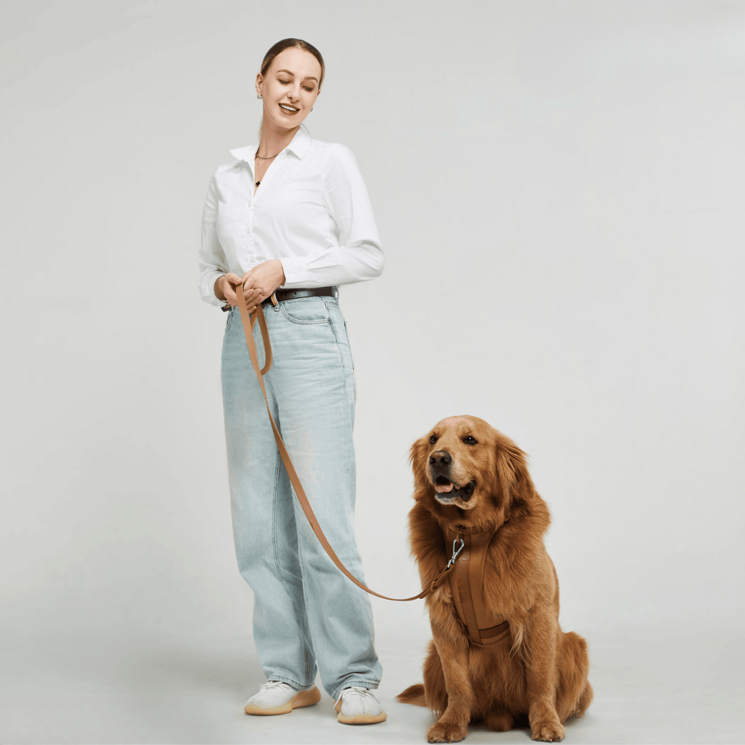 Comfy Dog Harness Walking Set with Leash and Poop Bag Holder-Orizon Depot