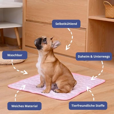 Cooling Mat for Pets with Non-Toxic Self-Cooling Gel-Orizon Depot