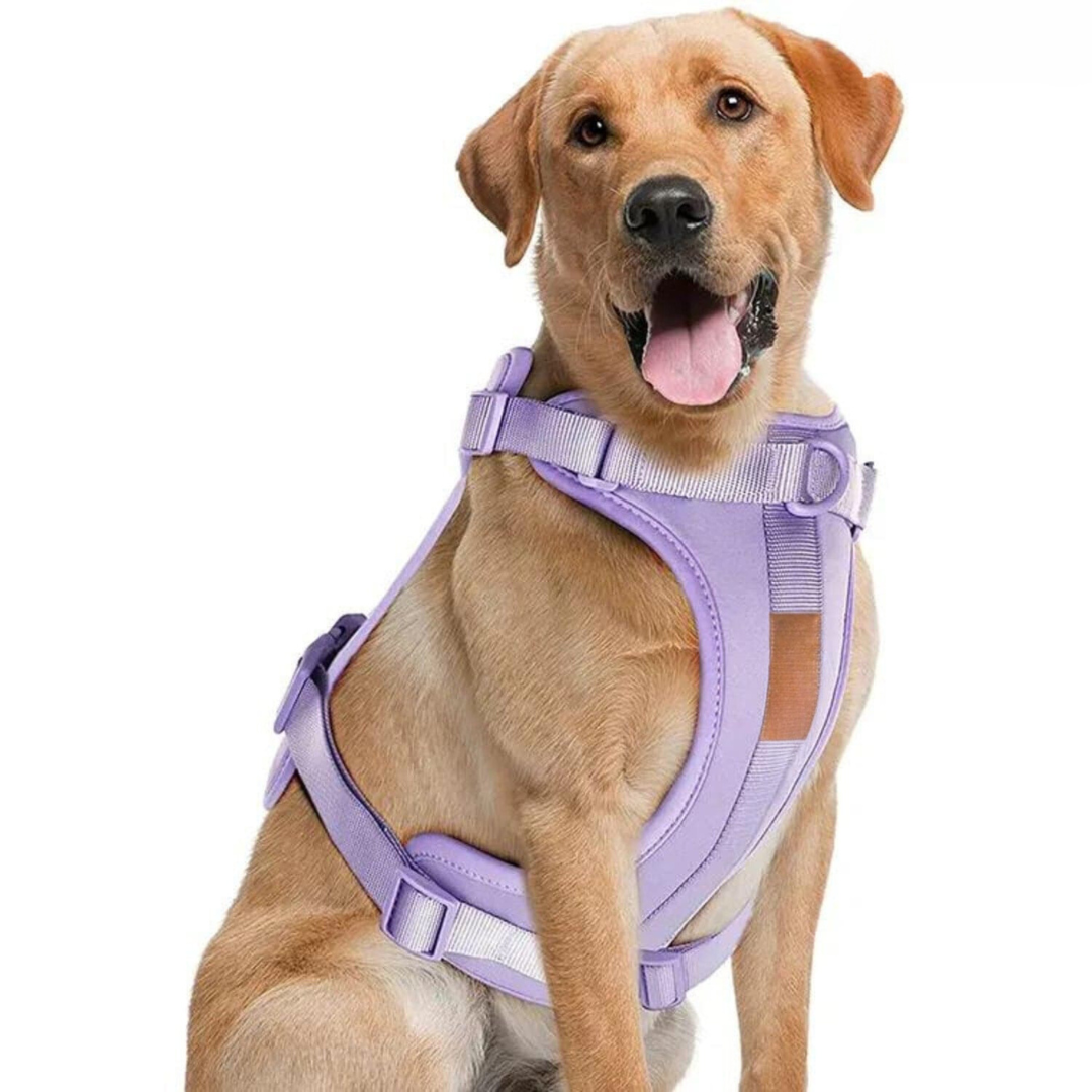Comfy Dog Harness Walking Set with Leash and Poop Bag Holder-Orizon Depot