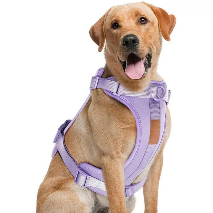 Comfy Dog Harness Walking Set with Leash and Poop Bag Holder-Orizon Depot