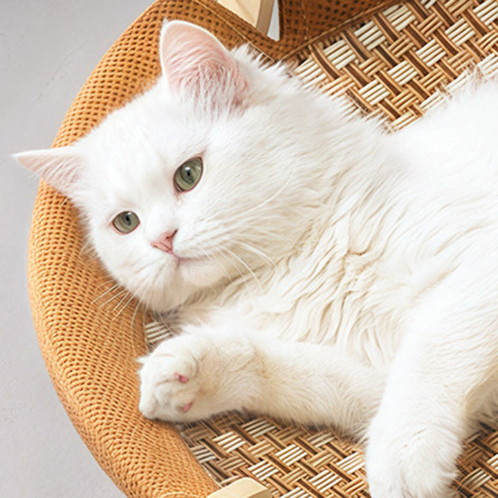 Boho Round Rattan Cat Bed with Solid Wood and Multi-Layer Design-Orizon Depot