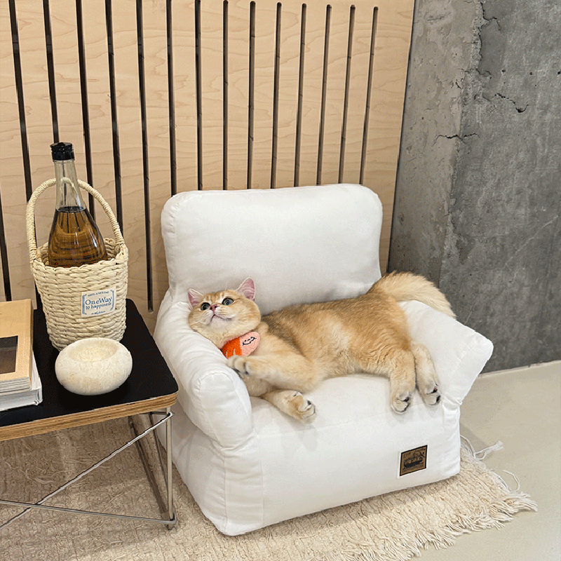 Stylish Minimalist Rectangular Cat Bed with Backrest for Living Room-Orizon Depot