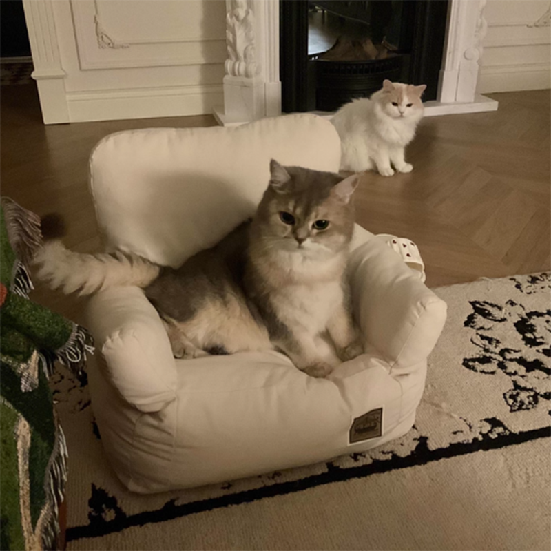 Stylish Minimalist Rectangular Cat Bed with Backrest for Living Room-Orizon Depot