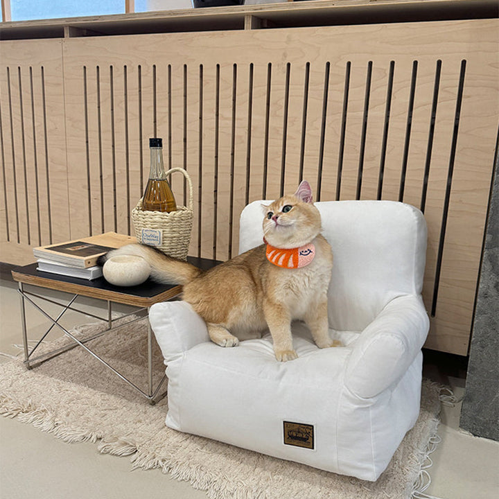 Stylish Minimalist Rectangular Cat Bed with Backrest for Living Room-Orizon Depot