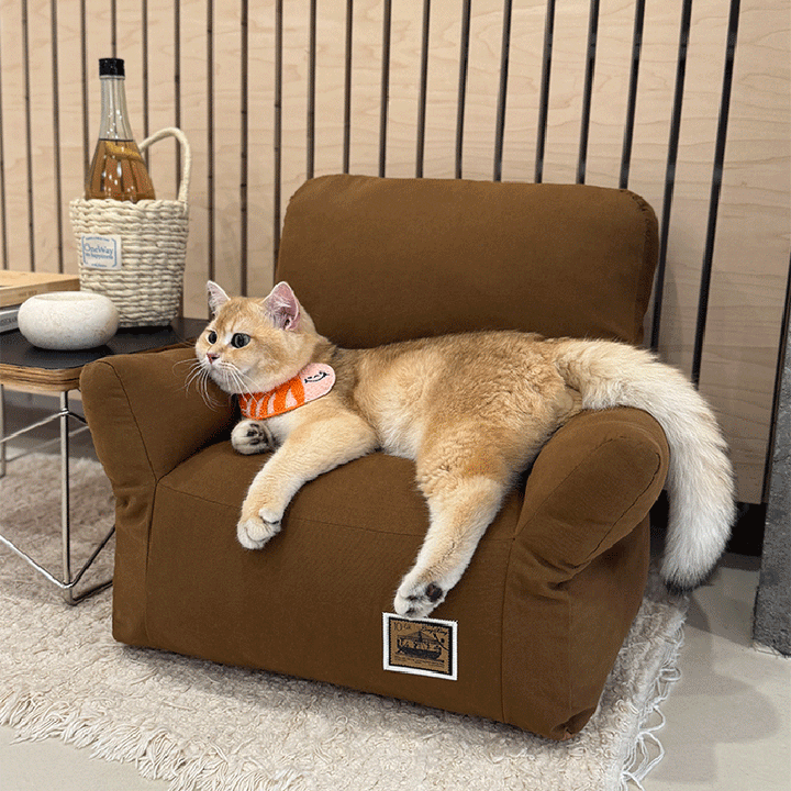 Stylish Minimalist Rectangular Cat Bed with Backrest for Living Room-Orizon Depot