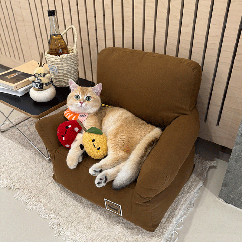 Stylish Minimalist Rectangular Cat Bed with Backrest for Living Room-Orizon Depot