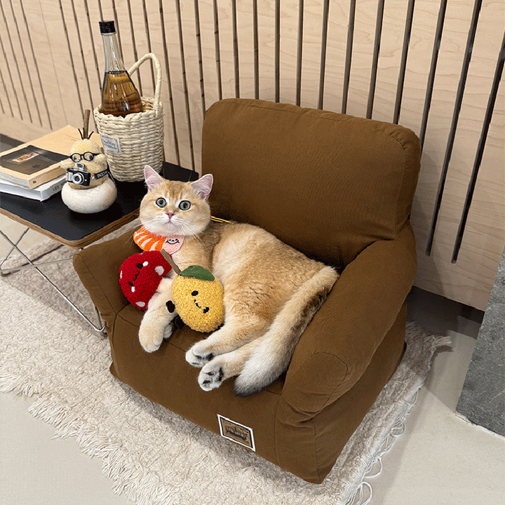 Stylish Minimalist Rectangular Cat Bed with Backrest for Living Room-Orizon Depot