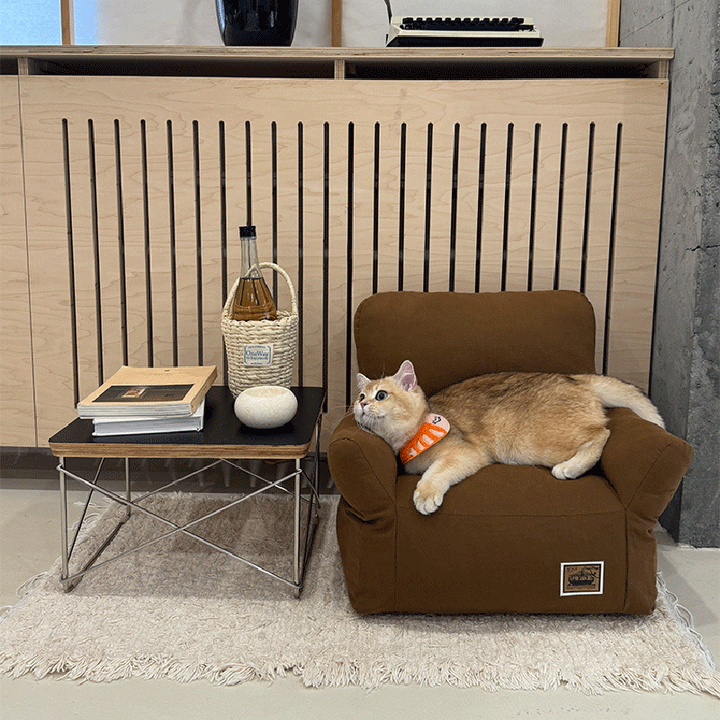 Stylish Minimalist Rectangular Cat Bed with Backrest for Living Room-Orizon Depot