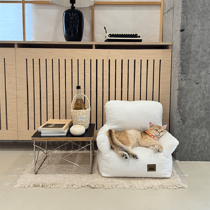 Stylish Minimalist Rectangular Cat Bed with Backrest for Living Room-Orizon Depot