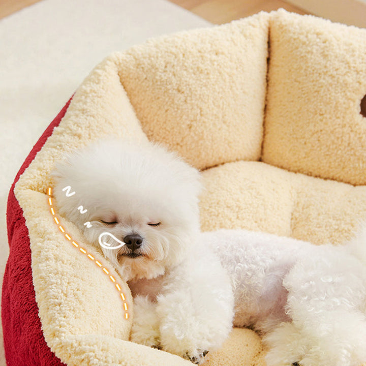 Modern Milk Velvet Cotton Ellipse Cat Bed for Living Room & Bedroom-Orizon Depot