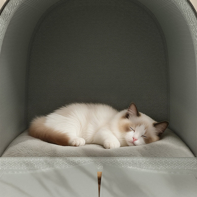 Stylish Minimalist Velvet Sponge Foldable Cat Bed for Home Use-Orizon Depot