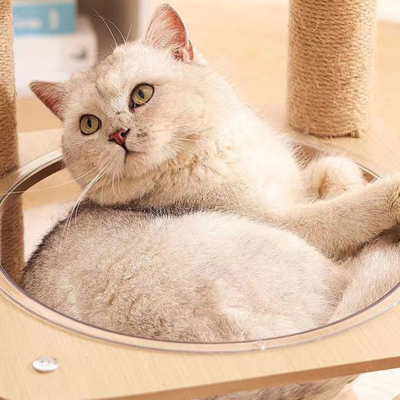 Modern Cylindrical Flower-Shaped Cat Tree with Hemp Rope and MDF-Orizon Depot