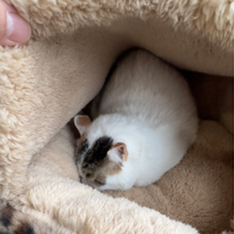 Cozy Round Fleece Plush Pet Bed for Cats and Dogs in Colorful Design-Orizon Depot