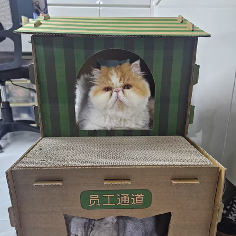 Modern Rectangular Cat Scratcher and Bed 2-Tier for Living Room-Orizon Depot